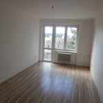 Rent 1 bedroom apartment of 68 m² in Bruntál
