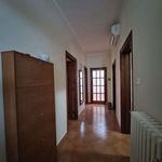 Affitto 2 camera appartamento di 150 m² in Brindisi