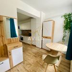 Rent 1 bedroom apartment of 30 m² in Píšťany