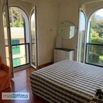 Rent 3 bedroom apartment of 68 m² in Genoa