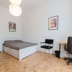 Rent a room of 300 m² in Bruxelles