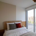 Rent a room of 136 m² in Villeurbanne