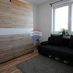 Rent 3 bedroom apartment of 88 m² in Číhošť