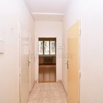 Rent 2 bedroom apartment of 33 m² in Praha