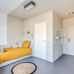 Appartement de 18 m² avec 1 chambre(s) en location à Palaiseau