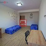 Rent 20 bedroom apartment of 20 m² in Olomouc