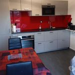 Rent 2 bedroom apartment of 44 m² in Albi