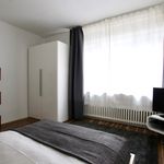 Rent 1 bedroom house of 33 m² in Cologne
