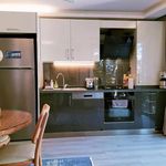 Rent 1 bedroom apartment of 45 m² in Istanbul