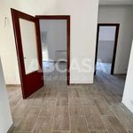 Rent 4 bedroom apartment of 120 m² in Velletri