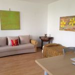 Rent 1 bedroom apartment of 49 m² in Frankfurt