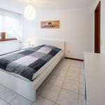 Rent 2 bedroom apartment of 44 m² in Frechen