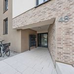 Rent 3 bedroom apartment of 95 m² in Nürnberg
