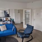 Rent 2 bedroom apartment of 40 m² in Utrecht