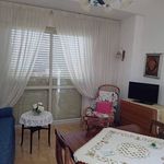 Rent 1 bedroom apartment of 70 m² in Barano d'Ischia