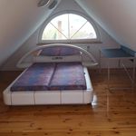 Wynajmij 3 sypialnię dom z 160 m² w Krośniewice