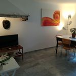 Affitto 1 camera appartamento di 55 m² in Pisa