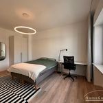 Miete 1 Schlafzimmer wohnung von 17 m² in Saarbrücken