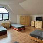 Rent 3 bedroom apartment of 50 m² in Město Albrechtice