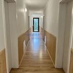 Rent 8 bedroom house of 200 m² in Kamień Pomorski