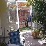 Rent 2 bedroom house of 1 m² in Athens