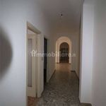 Rent 3 bedroom apartment of 115 m² in Mantova