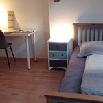 Rent 1 bedroom apartment of 38 m² in Halle