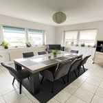 Rent 1 bedroom apartment in Drusenheim