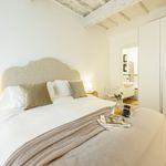 Rent 2 bedroom apartment of 71 m² in Firenze
