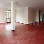 Affitto 4 camera appartamento di 100 m² in San Mauro Torinese