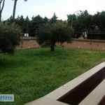 Rent 6 bedroom house of 365 m² in Roma