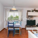 Apartment with 1 Bedroom in the Paradiso area