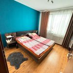 Rent 3 bedroom apartment of 73 m² in Strupčice