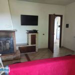 Rent 2 bedroom house of 65 m² in Civitavecchia