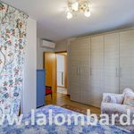 Rent 2 bedroom apartment of 60 m² in Monza