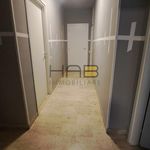 Rent 5 bedroom apartment of 20 m² in Padua