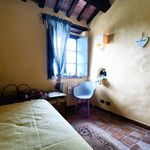 Rent 3 bedroom apartment of 81 m² in Perugia