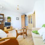 Rent 1 bedroom apartment of 37 m² in Warszawa