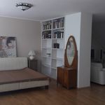 Rent 1 bedroom house of 160 m² in Brno