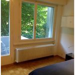 Miete 1 Schlafzimmer wohnung in Bern