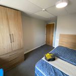 Rent 7 bedroom student apartment in Hull