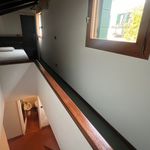 Rent 1 bedroom student apartment of 45 m² in Venezia