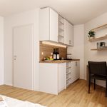 Miete 1 Schlafzimmer wohnung von 25 m² in Sankt Pölten