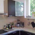 Rent 4 bedroom house of 492 m² in Budapest