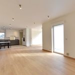 Rent 6 bedroom house of 2000 m² in Tervuren
