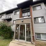 1 bedroom apartment of 322 sq. ft in Edmonton