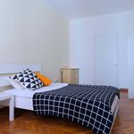 Rent a room of 200 m² in Cagliari