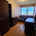 Rent 3 bedroom apartment of 47 m² in Krośniewice