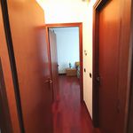 Rent 2 bedroom apartment of 50 m² in Buccinasco