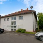 Comfortable and newly refurbished, furnished apartment near Wiesbaden